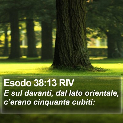 Esodo 38:13 RIV Bible Verse Image