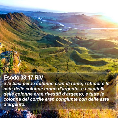 Esodo 38:17 RIV Bible Verse Image