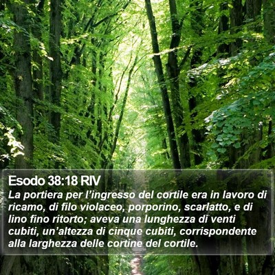 Esodo 38:18 RIV Bible Verse Image