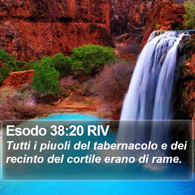 Esodo 38:20 RIV Bible Verse Image