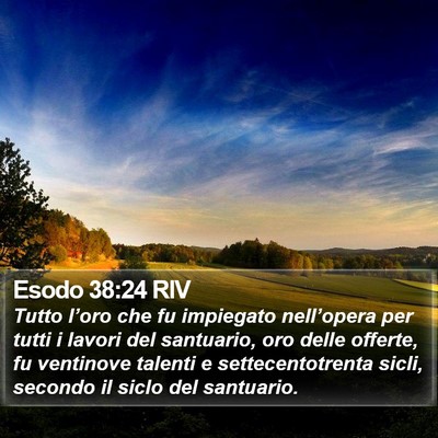 Esodo 38:24 RIV Bible Verse Image