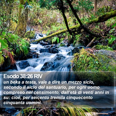 Esodo 38:26 RIV Bible Verse Image