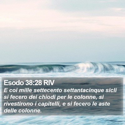 Esodo 38:28 RIV Bible Verse Image