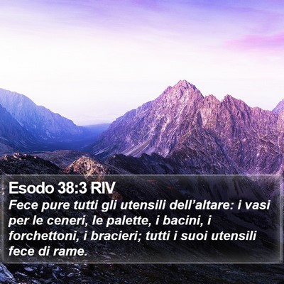 Esodo 38:3 RIV Bible Verse Image