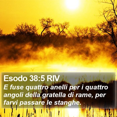 Esodo 38:5 RIV Bible Verse Image