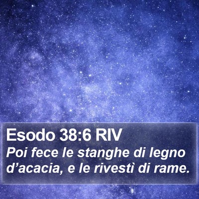 Esodo 38:6 RIV Bible Verse Image