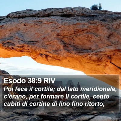 Esodo 38:9 RIV Bible Verse Image
