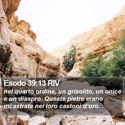 Esodo 39:13 RIV Bible Verse Image