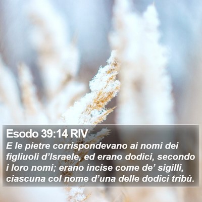 Esodo 39:14 RIV Bible Verse Image