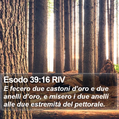 Esodo 39:16 RIV Bible Verse Image