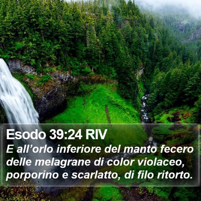 Esodo 39:24 RIV Bible Verse Image