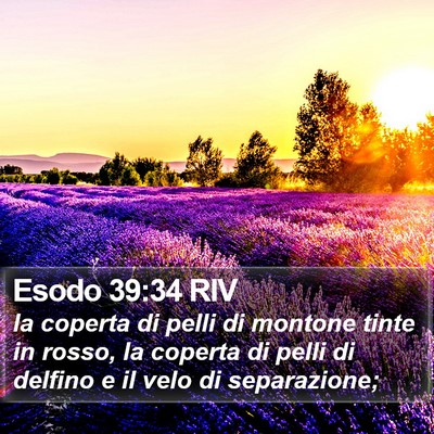 Esodo 39:34 RIV Bible Verse Image
