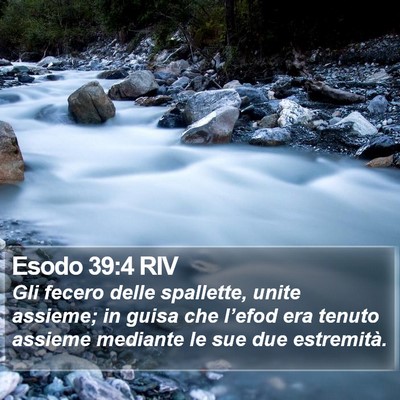 Esodo 39:4 RIV Bible Verse Image