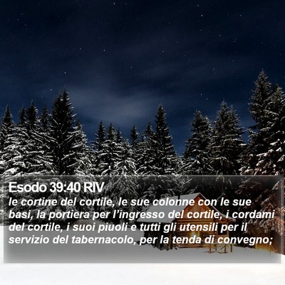 Esodo 39:40 RIV Bible Verse Image