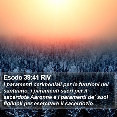Esodo 39:41 RIV Bible Verse Image