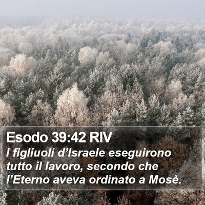 Esodo 39:42 RIV Bible Verse Image