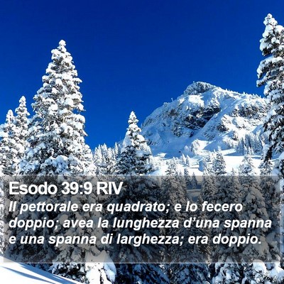 Esodo 39:9 RIV Bible Verse Image