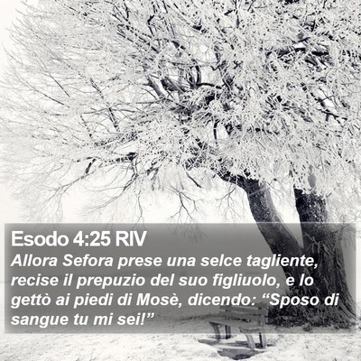Esodo 4:25 RIV Bible Verse Image