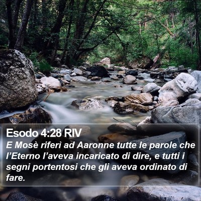 Esodo 4:28 RIV Bible Verse Image
