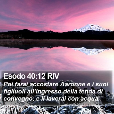 Esodo 40:12 RIV Bible Verse Image
