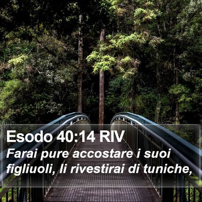 Esodo 40:14 RIV Bible Verse Image