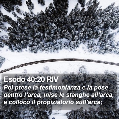 Esodo 40:20 RIV Bible Verse Image