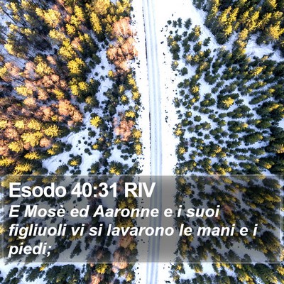 Esodo 40:31 RIV Bible Verse Image