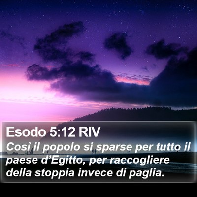 Esodo 5:12 RIV Bible Verse Image