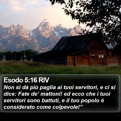 Esodo 5:16 RIV Bible Verse Image