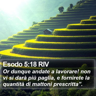 Esodo 5:18 RIV Bible Verse Image