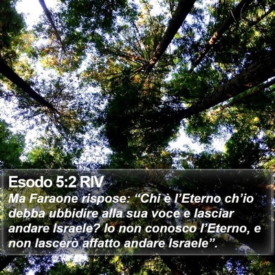 Esodo 5:2 RIV Bible Verse Image
