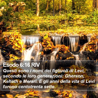 Esodo 6:16 RIV Bible Verse Image