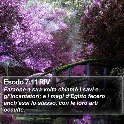 Esodo 7:11 RIV Bible Verse Image