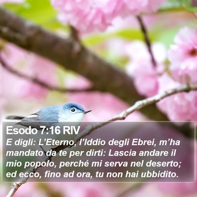 Esodo 7:16 RIV Bible Verse Image