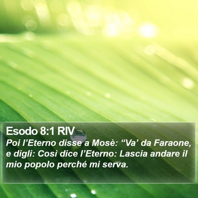 Esodo 8:1 RIV Bible Verse Image