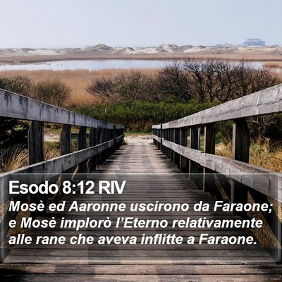 Esodo 8:12 RIV Bible Verse Image