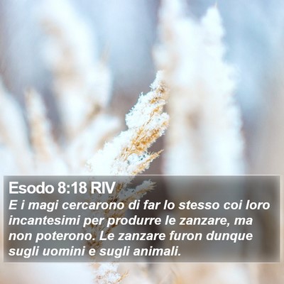 Esodo 8:18 RIV Bible Verse Image