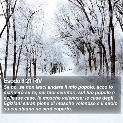 Esodo 8:21 RIV Bible Verse Image