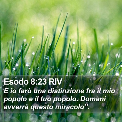 Esodo 8:23 RIV Bible Verse Image