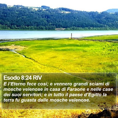 Esodo 8:24 RIV Bible Verse Image