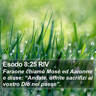 Esodo 8:25 RIV Bible Verse Image