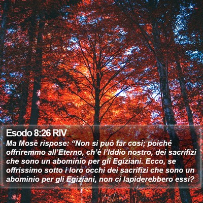 Esodo 8:26 RIV Bible Verse Image