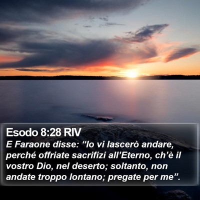 Esodo 8:28 RIV Bible Verse Image