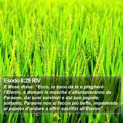 Esodo 8:29 RIV Bible Verse Image