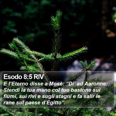 Esodo 8:5 RIV Bible Verse Image