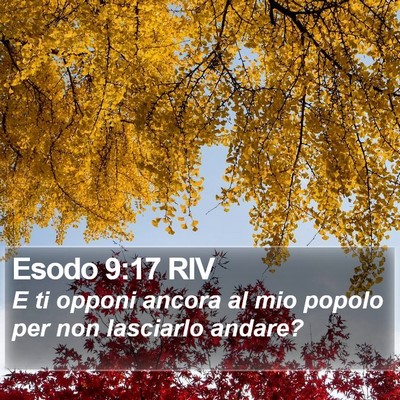 Esodo 9:17 RIV Bible Verse Image