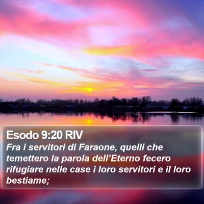 Esodo 9:20 RIV Bible Verse Image