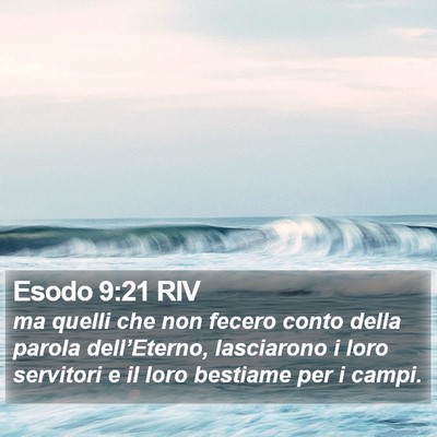 Esodo 9:21 RIV Bible Verse Image