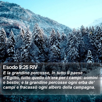 Esodo 9:25 RIV Bible Verse Image