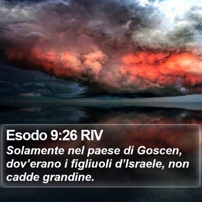 Esodo 9:26 RIV Bible Verse Image